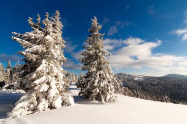 muhteşem kış manzarası. Mavi gökyüzü. Karpat, Ukrayna, Avrupa. Güzellik dünya