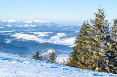 Karla kaplı ağaçlarla kaplı güzel bir kış manzarası. Kış dağları.
