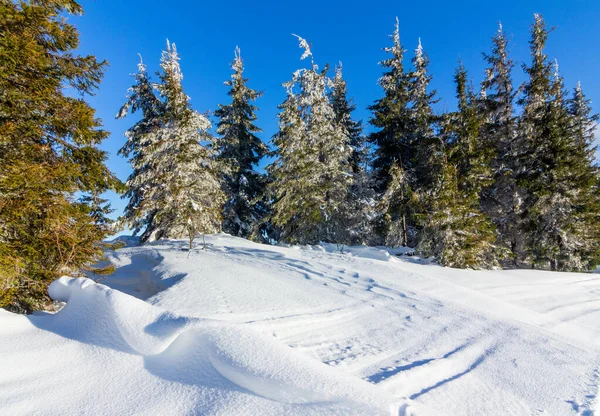 Karla kaplı ağaçlarla kaplı güzel bir kış manzarası. Kış dağları.