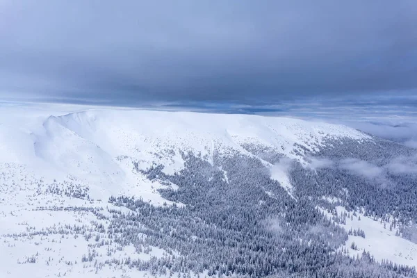 Inverno Foresta nuvole Paesaggio vista aerea alberi sfondo Viaggio paesaggio sereno — Foto Stock