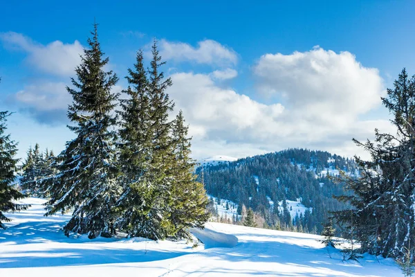 Bela paisagem de inverno com árvores cobertas de neve. Montanhas . — Fotografia de Stock