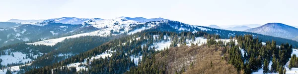 Auf dem schneebedeckten Rasen stehen die schönen Bäume, die an frostigen Wintertagen mit Schneeflocken übergossen sind — Stockfoto