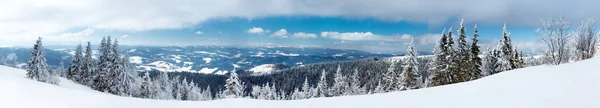 Paisagem do inverno fantástico. céu azul. Cárpatos, Ucrânia, Europa. mundo de beleza — Fotografia de Stock