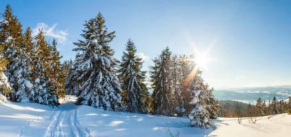 Herrlich majestätische Winterlandschaft, die vom Sonnenlicht erleuchtet wird. winterliche Szene. Karpaten, Ukraine, Europa. Schöne Welt. Frohes neues Jahr — Stockfoto