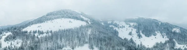 Paysage hivernal dans le brouillard avec neige et branches couvertes de givre et de neige gelée. Photo de haute qualité — Photo