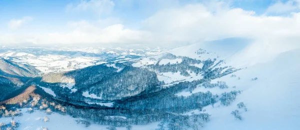 Paysage hivernal dans le brouillard avec neige et branches couvertes de givre et de neige gelée. Photo de haute qualité — Photo