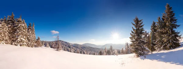 Téli fák a hegyek borított friss hó — Stock Fotó