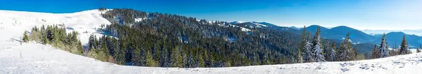 覆盖着新雪的高山上的冬季树木 — 图库照片