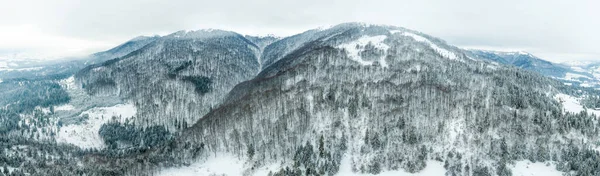 Зимовий пейзаж в тумані зі снігом і гілками вкритий калюжами і замерзлим снігом. Високоякісна фотографія — стокове фото