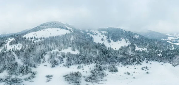 冬日的景色,雾蒙蒙,白雪漫漫,枝条覆盖着白霜和冰冻的白雪.高质量的照片 — 图库照片