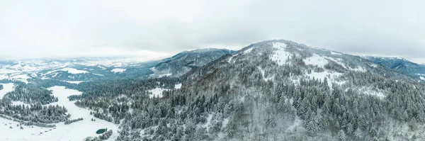 Paisagem de inverno em nevoeiro com neve e ramos cobertos de geada e neve congelada. Foto de alta qualidade — Fotografia de Stock