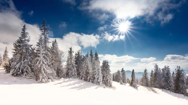 Paesaggio invernale fantastica. cielo blu. Carpazi, Ucraina, Europa. mondo bellezza — Foto Stock