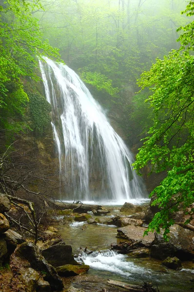 Orman şelale ve yosun kaplı kaya