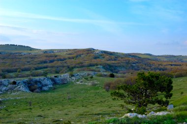İlham verici manzaralı yaz manzarası.