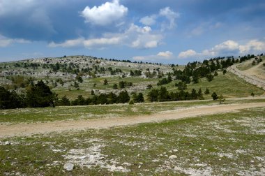 İlham verici manzaralı yaz manzarası.