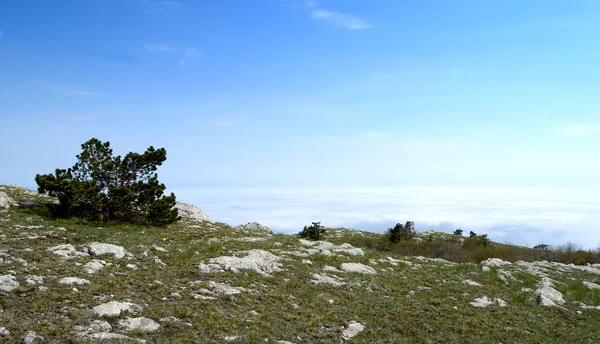 Bella vista sulle rocce e sui campi. Natura della Crimea centrale — Foto Stock