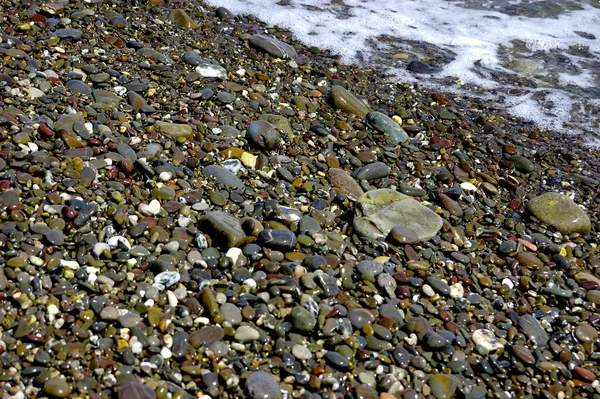 Plage de galets de mer avec pierres multicolores, vagues transparentes avec mousse, par une chaude journée d'été — Photo