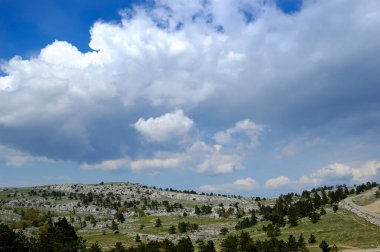 İlham verici manzaralı yaz manzarası.