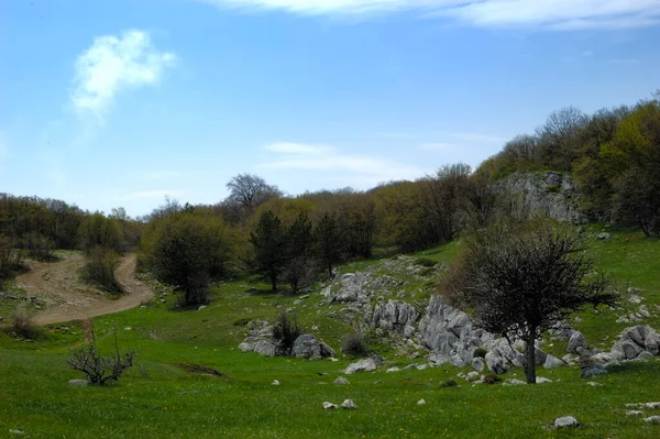 Hermosa vista de las rocas y campos. La naturaleza de la Crimea central — Foto de Stock