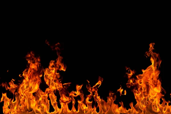 Köye yakın ağaçlık alanda çiçekler açıyor. Çiçeklere yakın çekim.