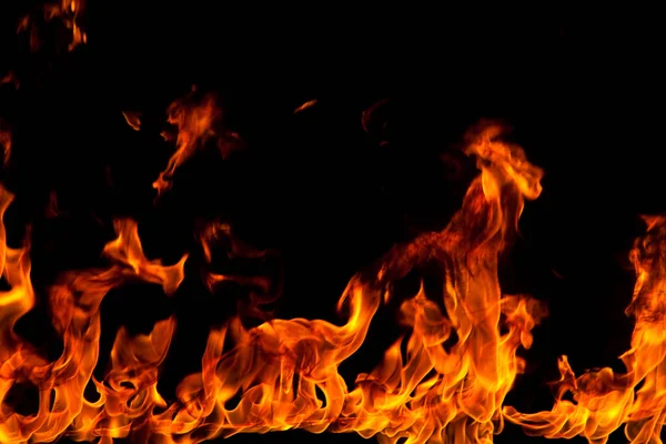 Köye yakın ağaçlık alanda çiçekler açıyor. Çiçeklere yakın çekim.