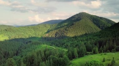 Dağ zirveleri ve sabah bulutları pürüzsüz hareket ediyor. Karpat Dağları 'nın çayırlarındaki yaz manzaralı vadi ağaçları. Ukrayna.