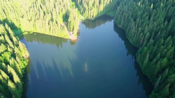 Yaz aylarında hava görünümünü Karpat takoz. Karpat doğa, göl montaj. Havadan görünümü Synevir Gölü, Ukrayna — Stok video