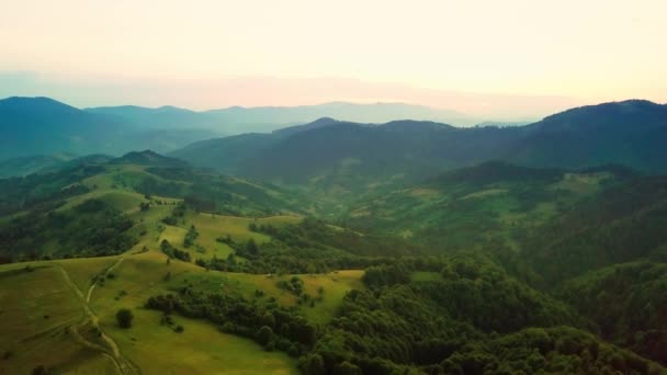 Karpatlar 'ın uçsuz bucaksız otlaklarının ve tarım arazilerinin havadan görünüşü. Tarım tarlası. Gün batımında kırsal dağ manzarası. Ukrayna. — Stok video
