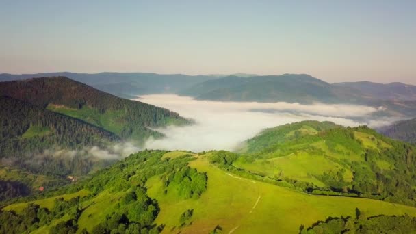 Αεροφωτογραφία των ατελείωτων καταπράσινων βοσκοτόπων των Καρπαθίων επεκτάσεων και της γεωργικής γης. Καλλιεργούμενο γεωργικό τομέα. Αγροτικό ορεινό τοπίο στο ηλιοβασίλεμα. Ουκρανία. — Αρχείο Βίντεο