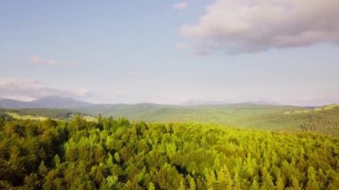 Dağ zirveleri ve sabah bulutları pürüzsüz hareket ediyor. Karpat Dağları 'nın çayırlarındaki yaz manzaralı vadi ağaçları. Ukrayna.