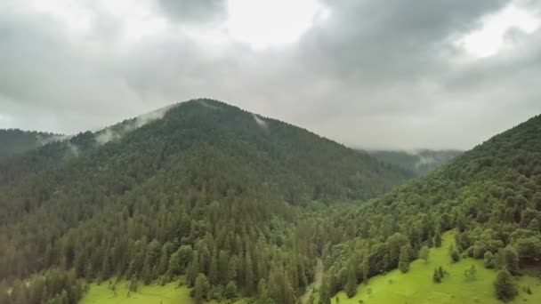 Picchi montuosi e cielo mattutino con nuvole mobili lisce. Paesaggio estivo alberi di valle paeceful nel prato ai monti Carpazi. Ucraina. — Video Stock