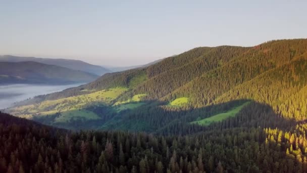 Bergtoppen en ochtendlucht met gladde bewegende wolken. Zomer landschap pijnlijke vallei bomen in de weide bij Karpaten bergen. Oekraïne. — Stockvideo