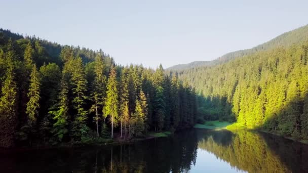 Aerial view Carpathian mountings in summer. Carpathian nature, mounting lake. Aerial view Synevir lake, Ukraine — Stock Video