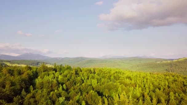 Picos de montanha e céu matutino com nuvens móveis lisas. Paisagem de verão árvores de vale no prado nas montanhas dos Cárpatos. Ucrânia. — Vídeo de Stock