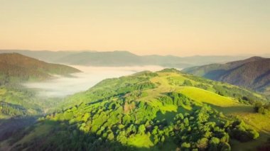 Karpatlar 'ın uçsuz bucaksız otlaklarının ve tarım arazilerinin havadan görünüşü. Tarım tarlası. Gün batımında kırsal dağ manzarası. Ukrayna.