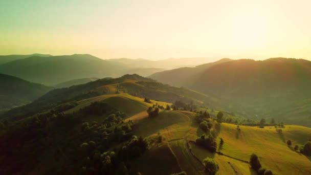 Luchtfoto van de eindeloze weelderige weiden van de Karpaten en landbouwgronden. Gecultiveerd landbouwgebied. Landelijk berglandschap bij zonsondergang. Oekraïne. — Stockvideo