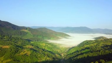 Karpatlar 'ın uçsuz bucaksız otlaklarının ve tarım arazilerinin havadan görünüşü. Tarım tarlası. Gün batımında kırsal dağ manzarası. Ukrayna.