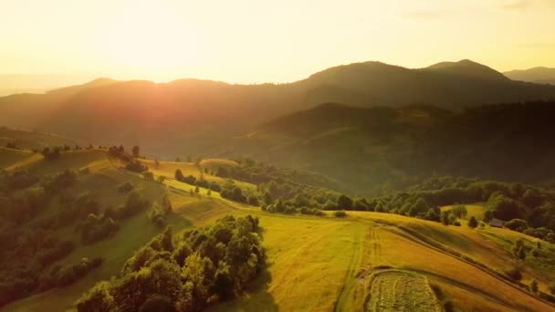 Αεροφωτογραφία των ατελείωτων καταπράσινων βοσκοτόπων των Καρπαθίων επεκτάσεων και της γεωργικής γης. Καλλιεργούμενο γεωργικό τομέα. Αγροτικό ορεινό τοπίο στο ηλιοβασίλεμα. Ουκρανία. — Αρχείο Βίντεο