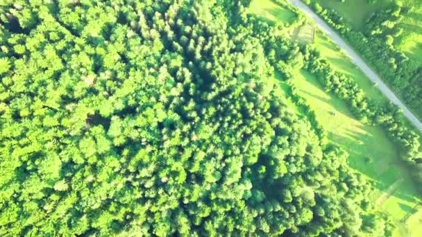 Letecký pohled na nekonečné bujné pastviny Karpat a zemědělské půdy. Pěstované zemědělské pole. Venkovská horská krajina při západu slunce. Ukrajina. — Stock video