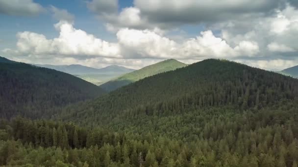 Des sommets montagneux et un ciel matinal avec des nuages doux et mouvants. Paysage estival paisibles arbres de vallée dans la prairie aux montagnes des Carpates. Ukraine. — Video