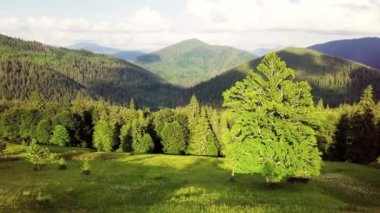 Synevyrska açıklığındaki güzel çayırların, tepelerin ve ağaçların geniş açılı panoramik görüntüsü Synevyr gölünün yanında. Ukrayna 'daki Karpat dağlarının görkemli ve muhteşem manzaraları