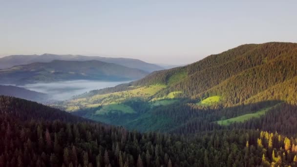Berg toppar och morgon himmel med släta rörliga moln. Sommarlandskap måleriska dalträd på ängen vid Karpaterna. Ukraina. — Stockvideo