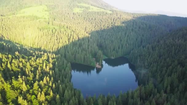 Vista aérea Montagens Cárpatos no verão. Natureza dos Cárpatos, lago de montagem. Vista aérea Synevir lago, Ucrânia — Vídeo de Stock