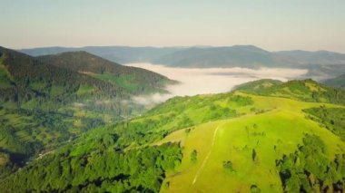 Karpatlar 'ın uçsuz bucaksız otlaklarının ve tarım arazilerinin havadan görünüşü. Tarım tarlası. Gün batımında kırsal dağ manzarası. Ukrayna.