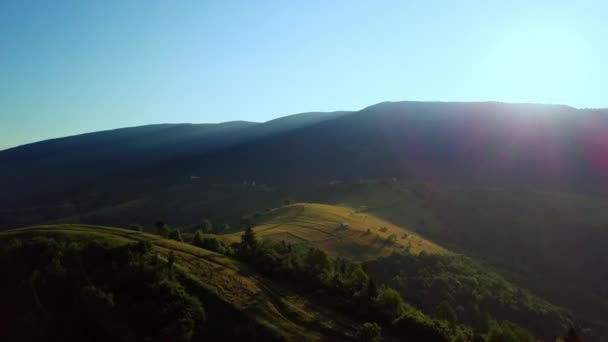 Vue aérienne des prairies luxuriantes infinies des Carpates et des terres agricoles. Champ agricole cultivé. Paysage montagneux rural au coucher du soleil. Ukraine. — Video