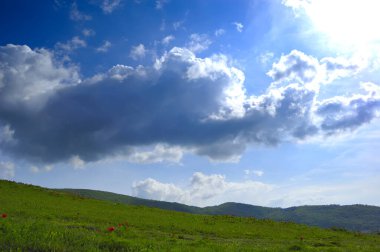 İlham verici manzaralı yaz manzarası.