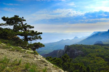 Kayaların ve tarlaların güzel manzarası. Orta Kırım 'ın Doğası