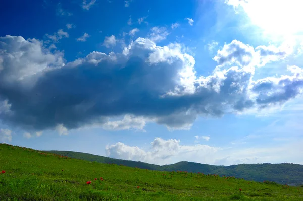 İlham verici manzaralı yaz manzarası.