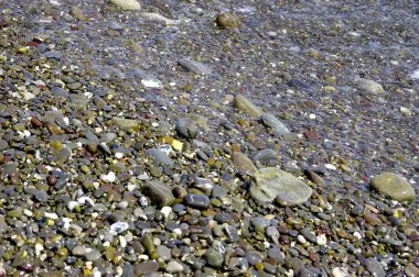 Deniz çakıl plaj renkli taşlar, köpük, sıcak yaz gününde şeffaf dalgalar