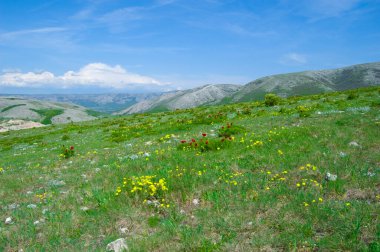 İlham verici manzaralı yaz manzarası.